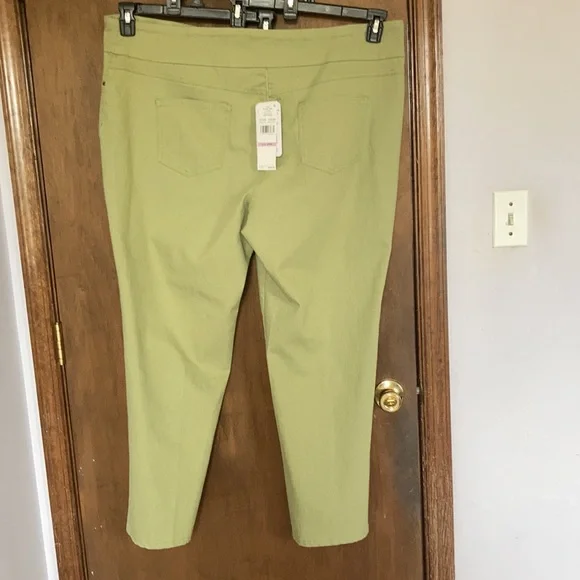Ruby Rd pant new sage green slimming contour waistband pant 22W - Picture 16 of 17